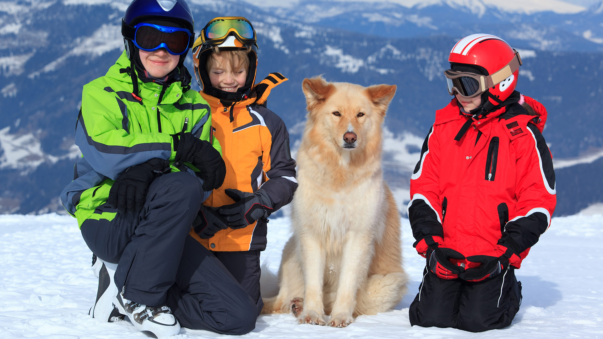 Skiurlaub Hund Österreich