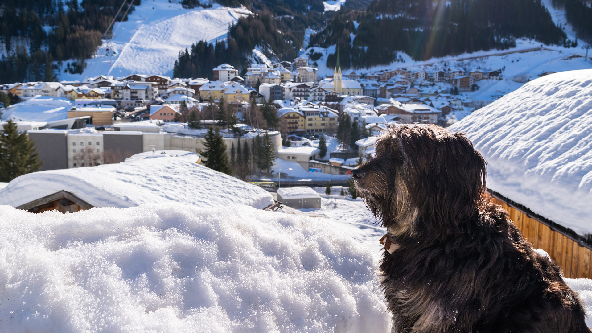 Skiferien im Hundehotel